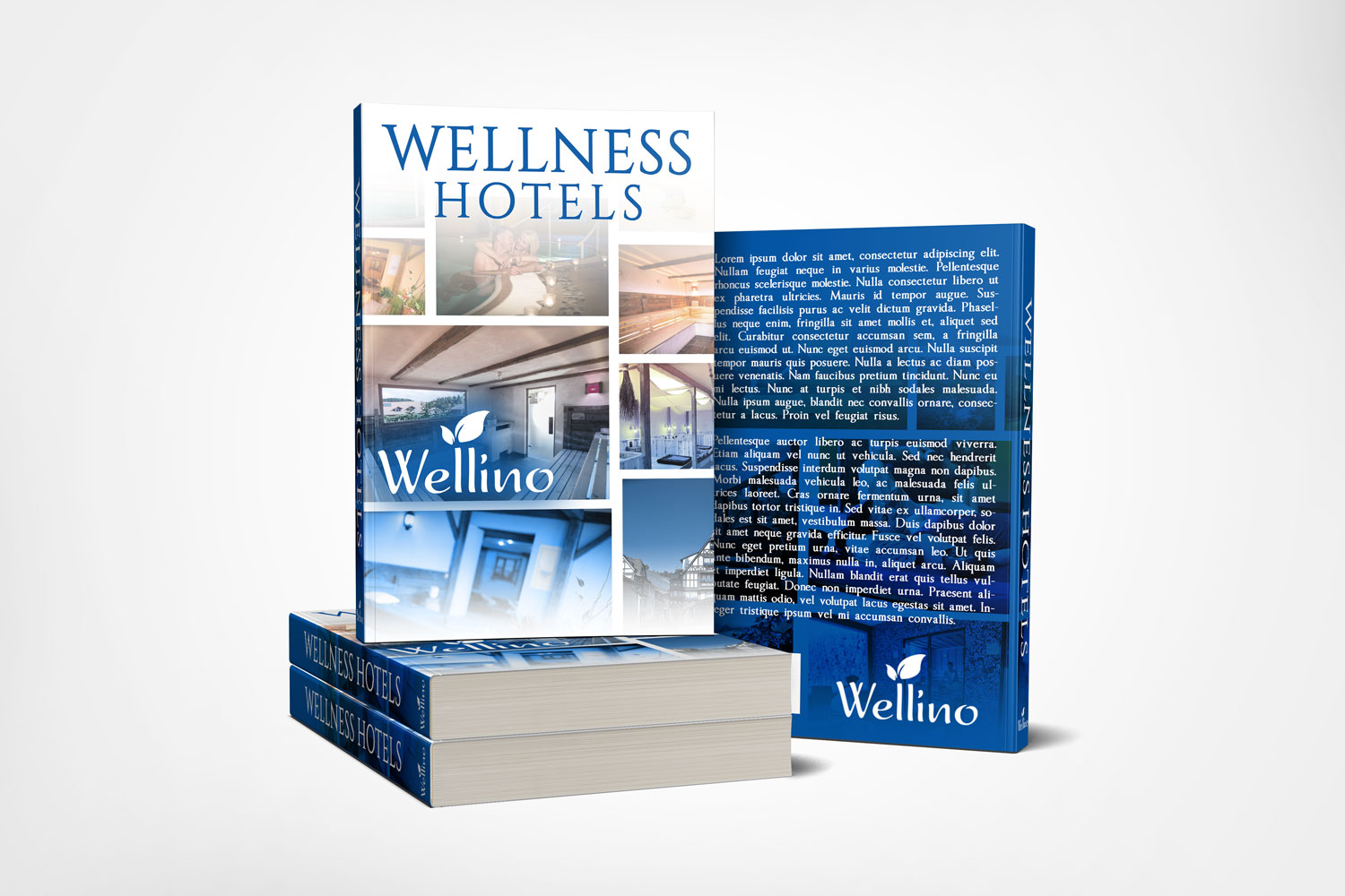 Book Cover Design by Estratosphera for this project | Design #16248413