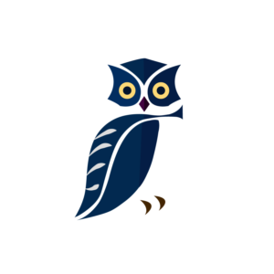 Logo Design by DsgnStory®