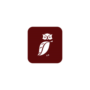 Logo Design by DsgnStory® for Vimagery | Design: #16525070