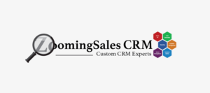 Logo-Design von ngahoang1711 für ZoomingSales CRM | Design: #16287869