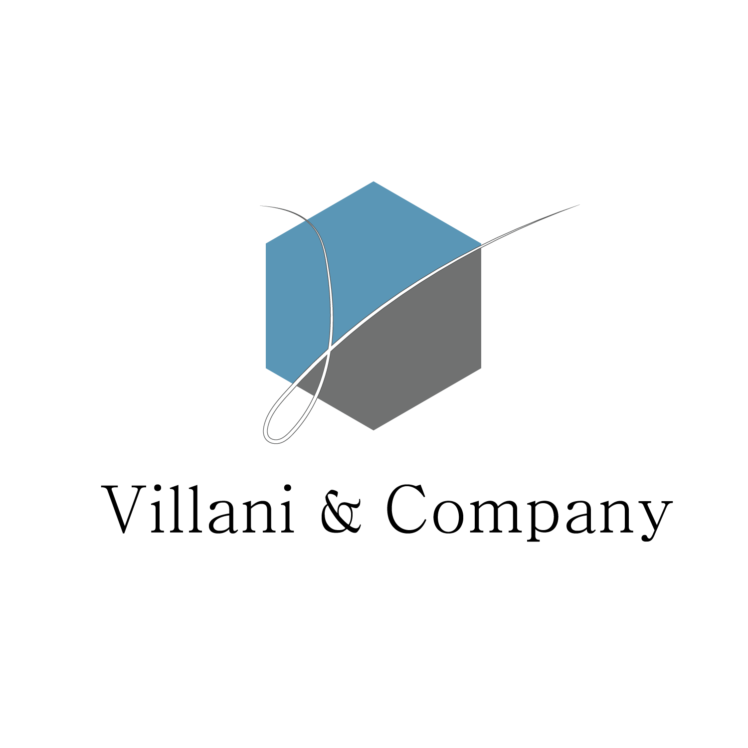 Logo Design by Aaron Bachoon for Villani & Company | Design #16265641