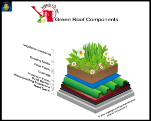 Graphic Design by SPLATmedia for this project | Design: #608224