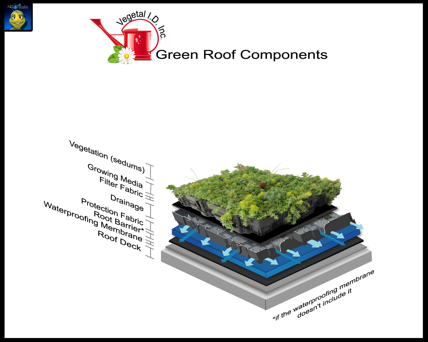 Graphic Design by SPLATmedia for this project | Design #630547