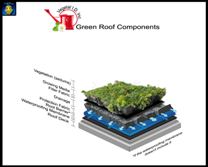 Graphic Design by SPLATmedia for this project | Design: #630547