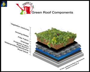 Graphic Design by SPLATmedia for this project | Design: #632654