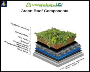 Graphic Design by SPLATmedia