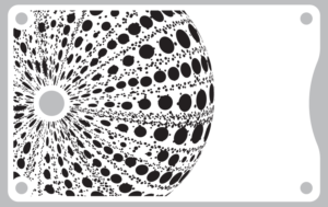 Grafik-Design von Pamela Miller für dieses Projekt | Design: #16332143
