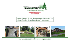 Flyer Design by Matt