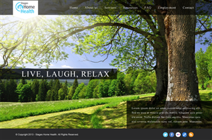 Home Health Care Agency Needs a Website (Seeking a PSD)  | Wordpress Design by JM