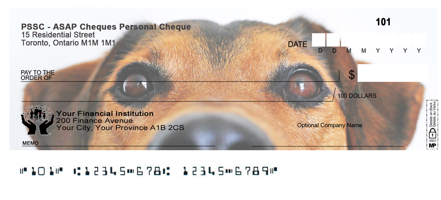 Graphic Design by Monika.G for Ally Business Services Incc. | Design #16275052