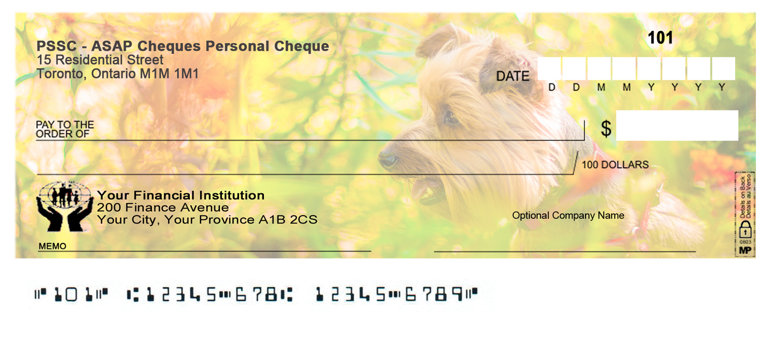 Diseño Gráfico por Monika.G para Ally Business Services Incc. | Diseño #16275060