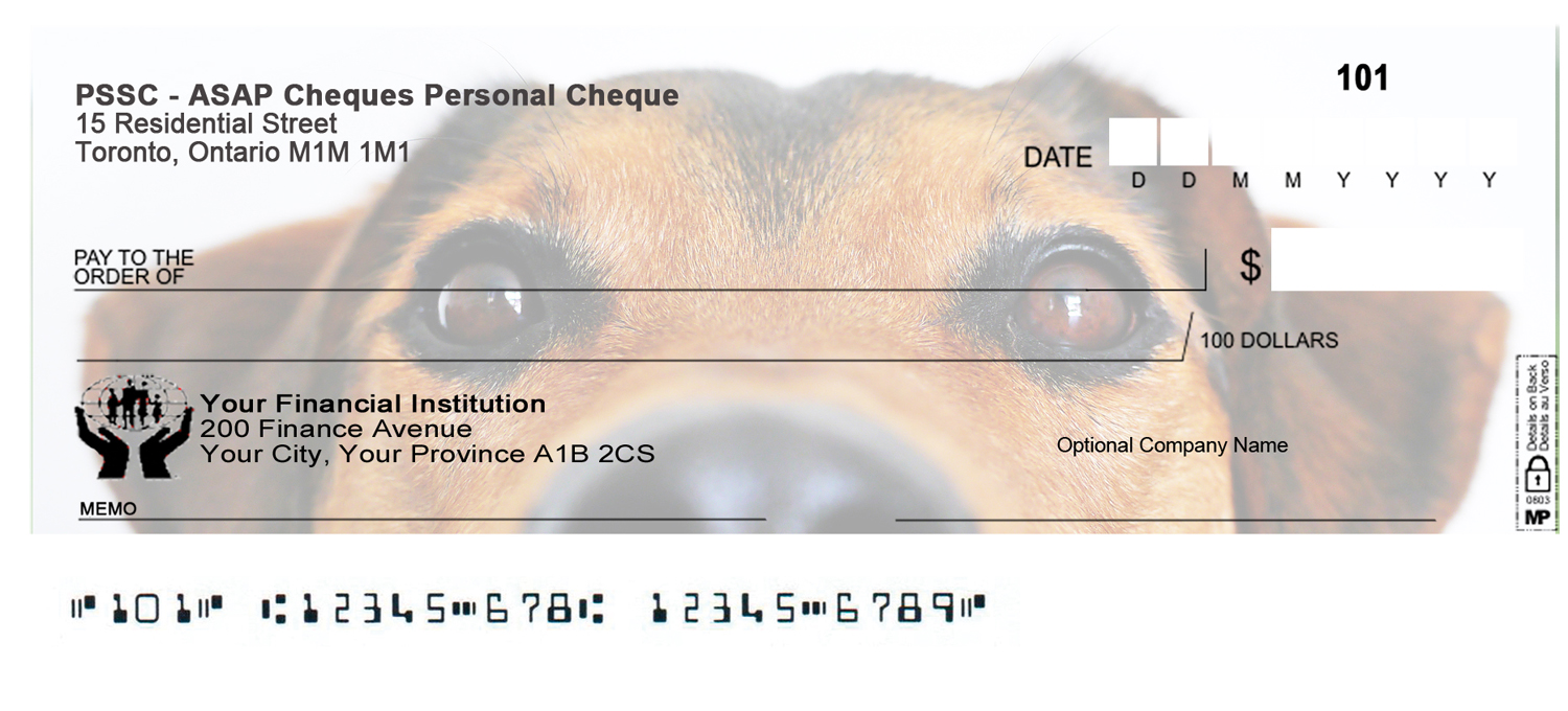 Diseño Gráfico por Monika.G para Ally Business Services Incc. | Diseño #16366455