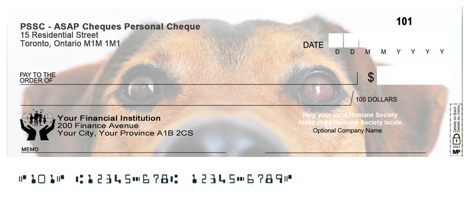 Graphic Design by Monika.G for Ally Business Services Incc. | Design #16595357