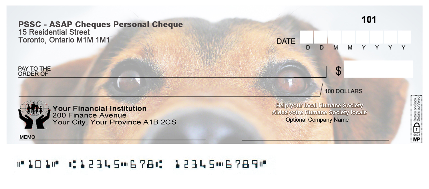 Graphic Design by Monika.G for Ally Business Services Incc. | Design #16730883