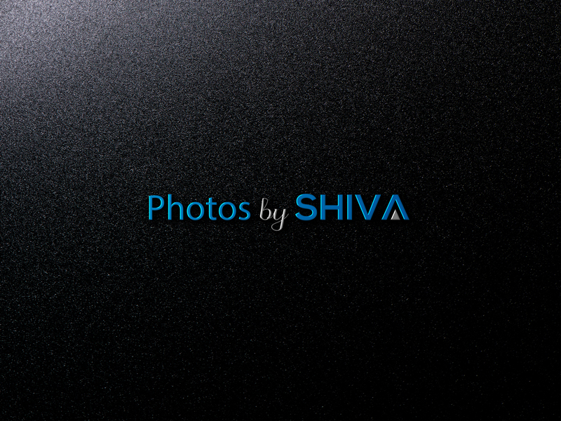 Logo Design by ADesignWorld for this project | Design #16295282