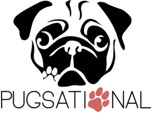 Logo Design by paulina menendez