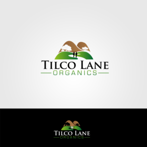 Logo-Design von graphicancers