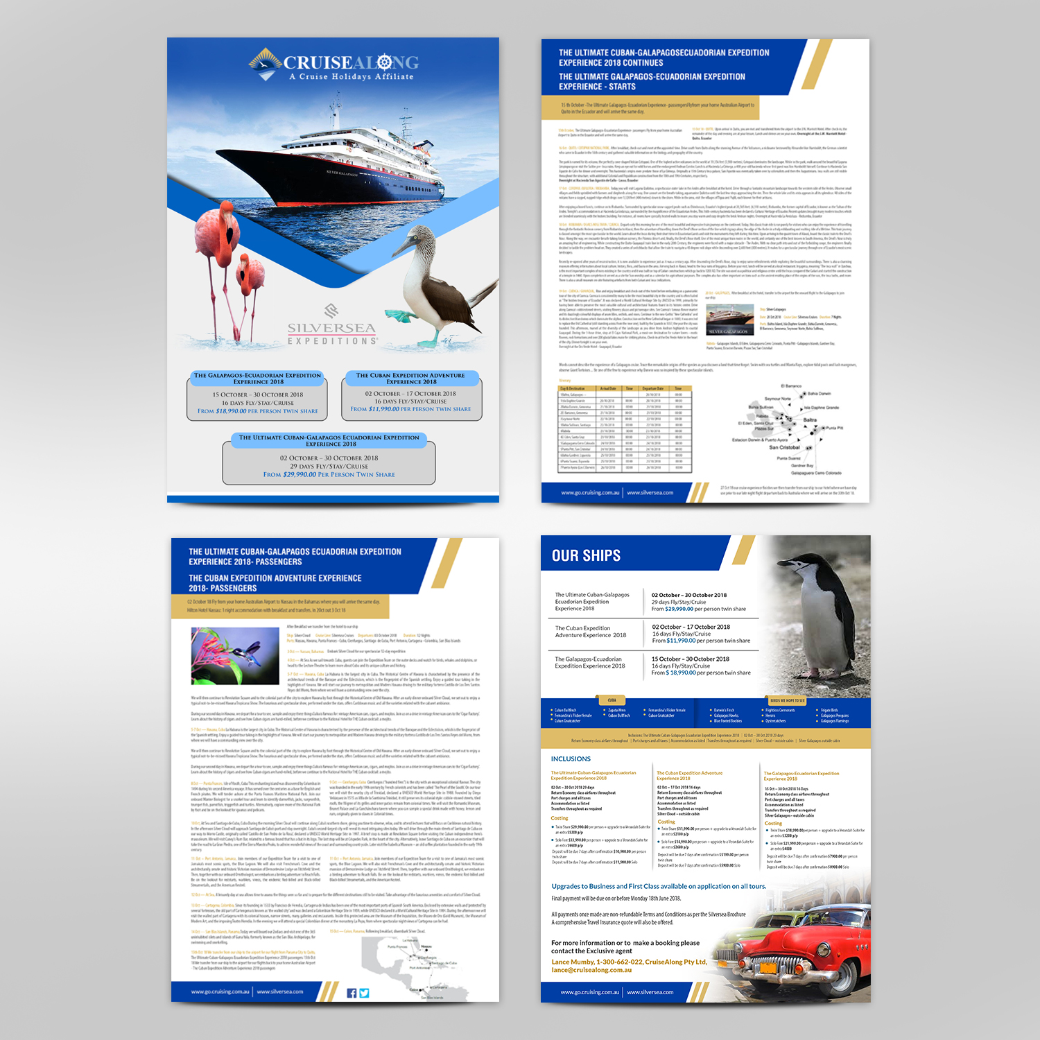 Flyer Design by hih7 for CruiseAlong Pty Ltd | Design: #16465250