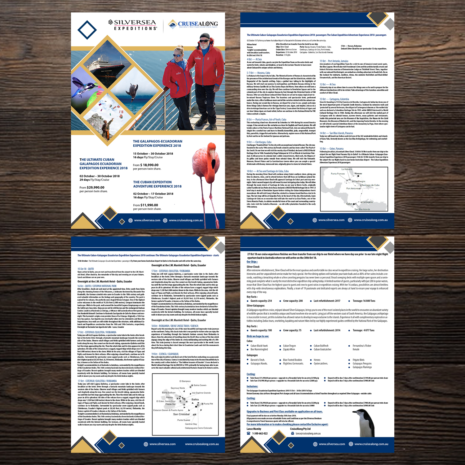 Diseño de Flyer por debdesign para CruiseAlong Pty Ltd | Diseño #16401527