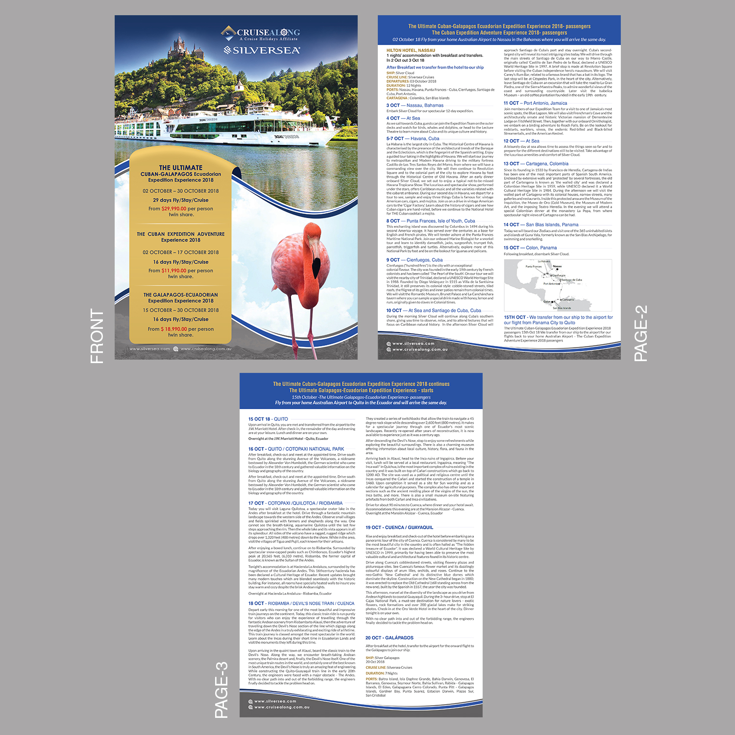 Flyer Design by debdesign for CruiseAlong Pty Ltd | Design #16404563