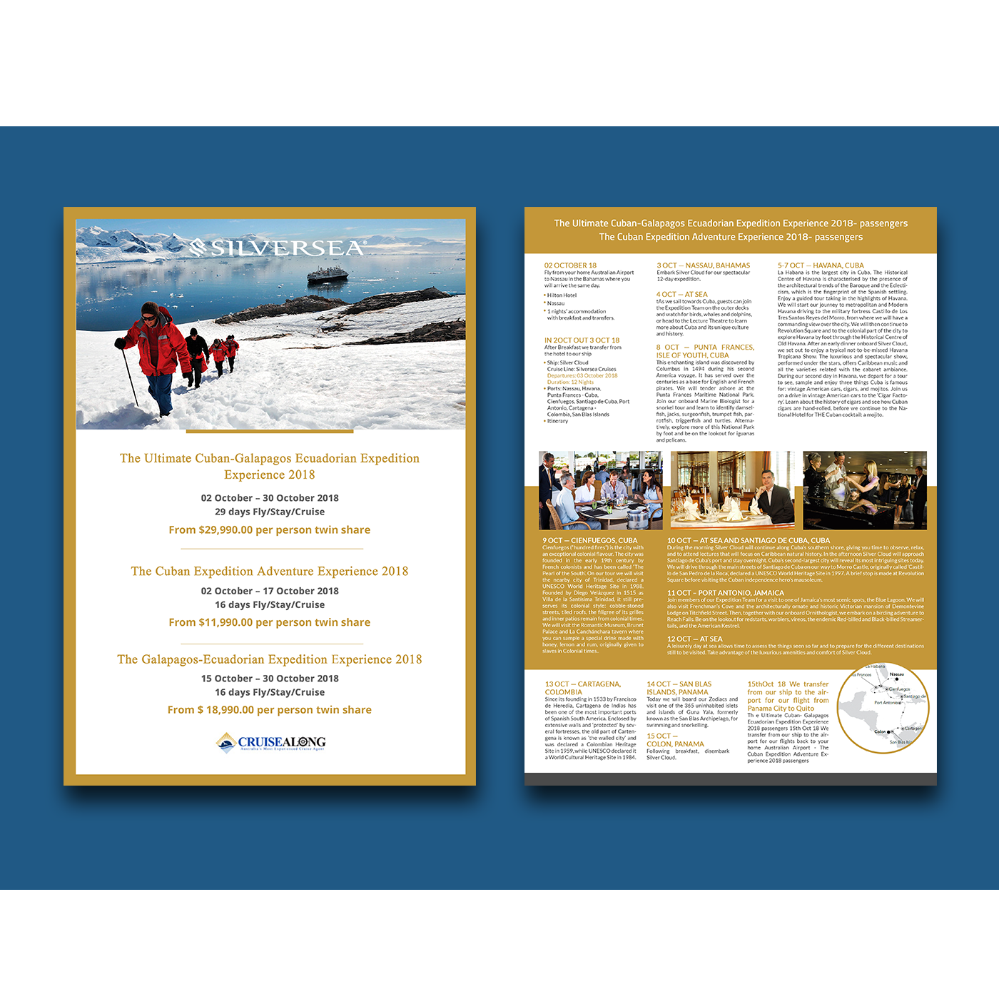 Flyer-Design von creative.bugs für CruiseAlong Pty Ltd | Design #16404042