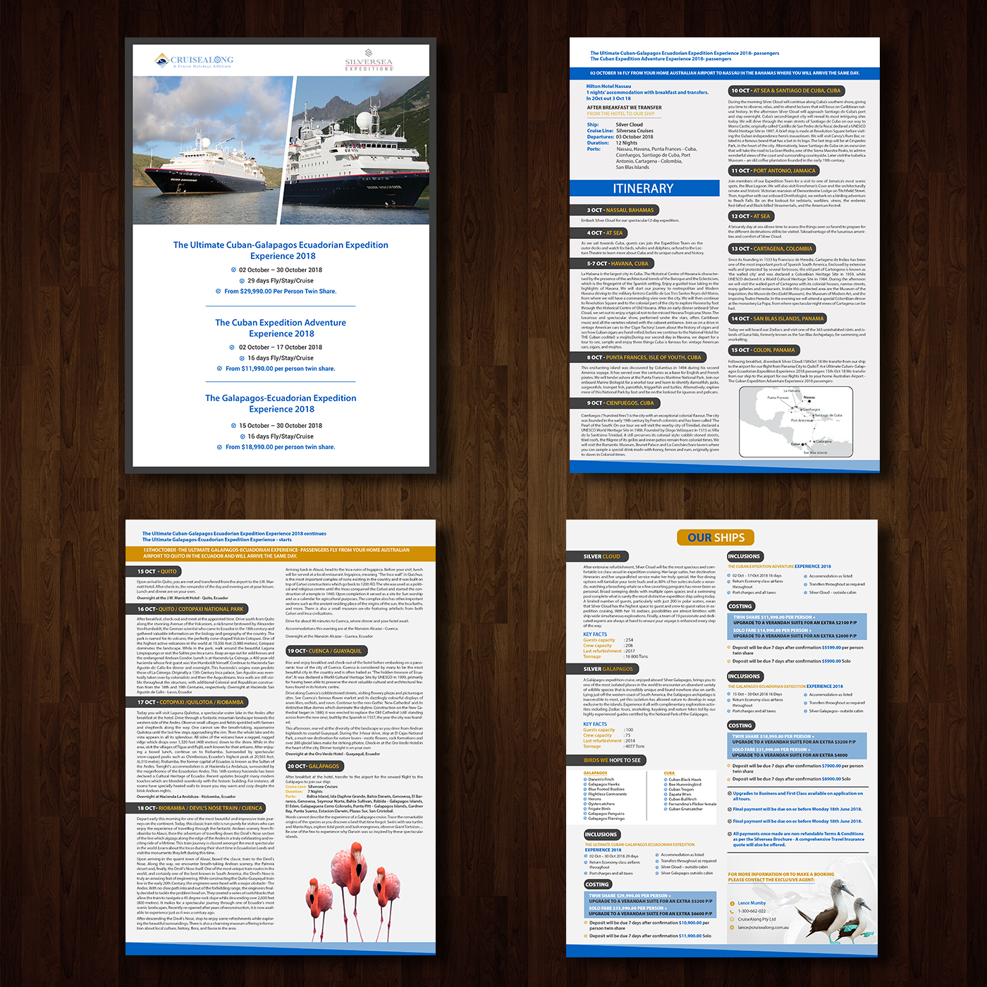 Flyer Design by creative.bugs for CruiseAlong Pty Ltd | Design #16410459