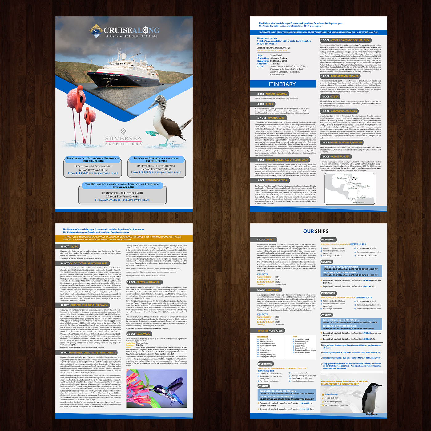 Flyer-Design von creative.bugs für CruiseAlong Pty Ltd | Design #16411890