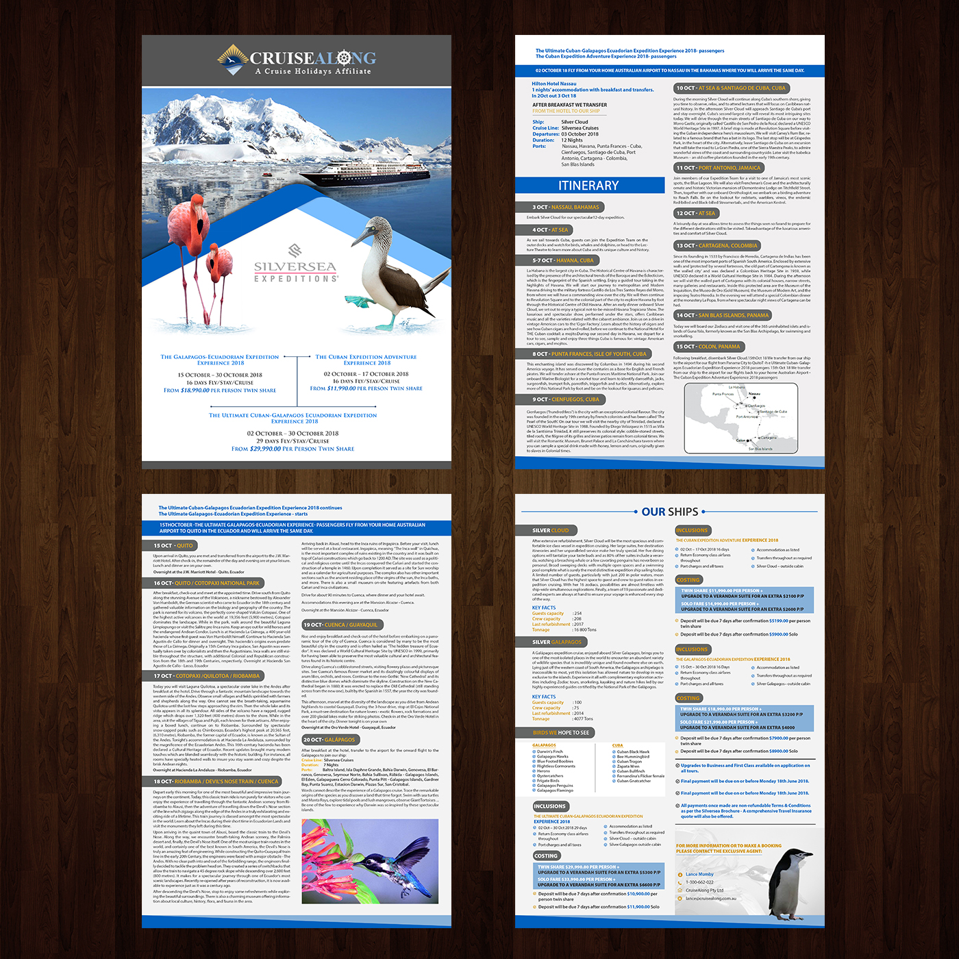 Flyer Design by creative.bugs for CruiseAlong Pty Ltd | Design #16423644