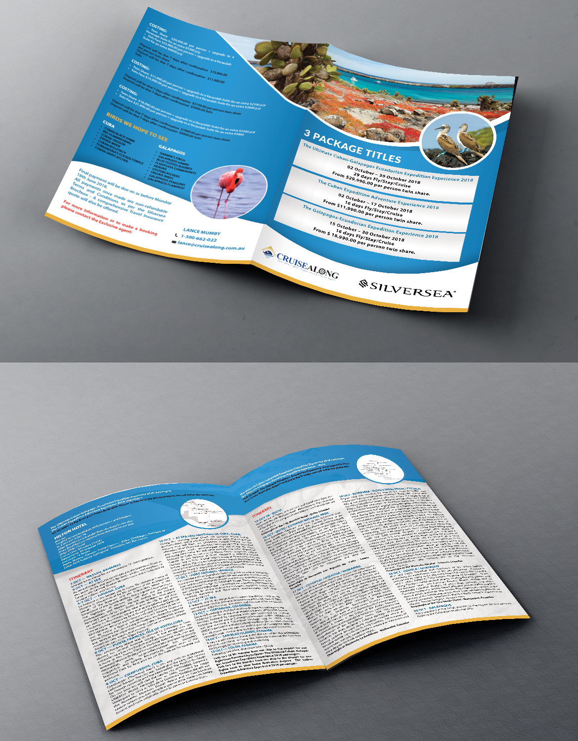 Flyer Design by Schöpfer for CruiseAlong Pty Ltd | Design #16412614