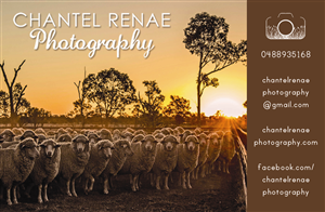 Signage Design by Caroline Stringer for Chantel Renae Photographg | Design #2679426