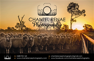 Schilder-Design von OKI Design Studio für Chantel Renae Photographg | Design: #2648802