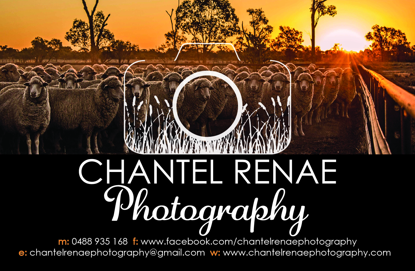 Signage Design by OKI Design Studio for Chantel Renae Photographg | Design #2665293