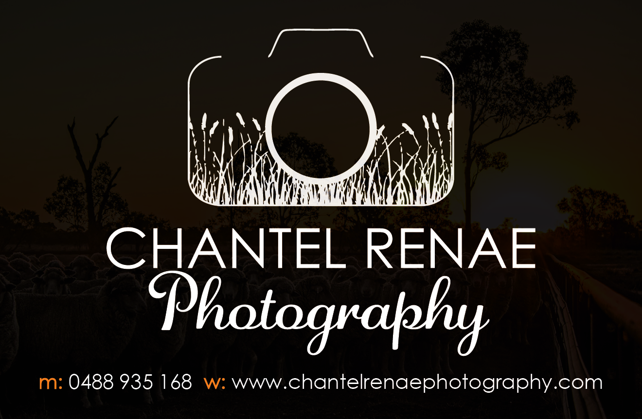 Signage Design by OKI Design Studio for Chantel Renae Photographg | Design #2670416