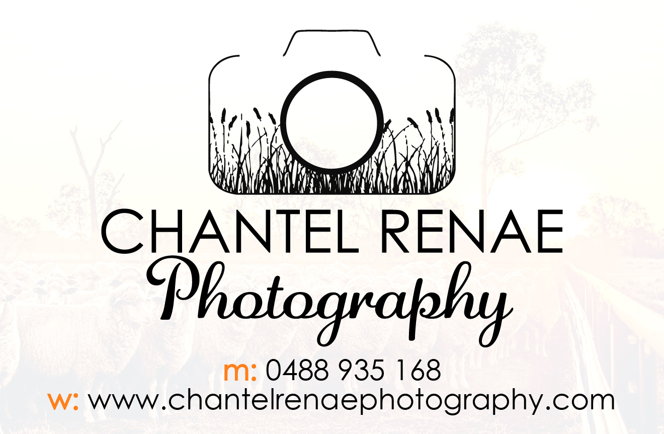 Signage Design by OKI Design Studio for Chantel Renae Photographg | Design #2670427