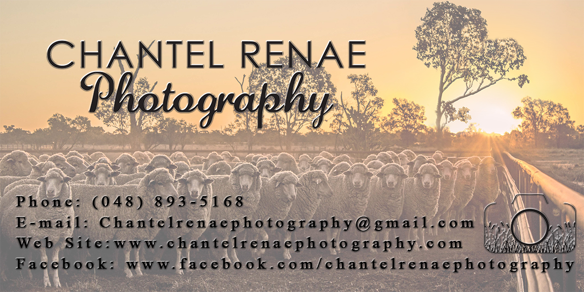 Signage Design by Evangelist4boga for Chantel Renae Photographg | Design #2644154
