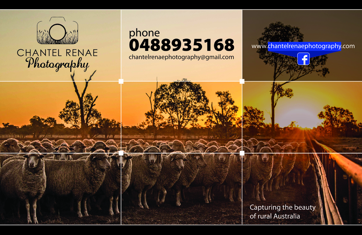 Signage Design by Svetlin Angelov for Chantel Renae Photographg | Design #2658004