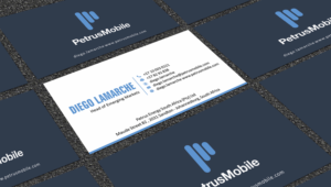 Business Card Design by SKYdesign for Petrus SA | Design: #16304050