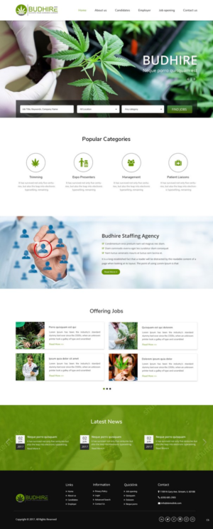 Diseño Web por pb para este proyecto | Diseño: #16324232