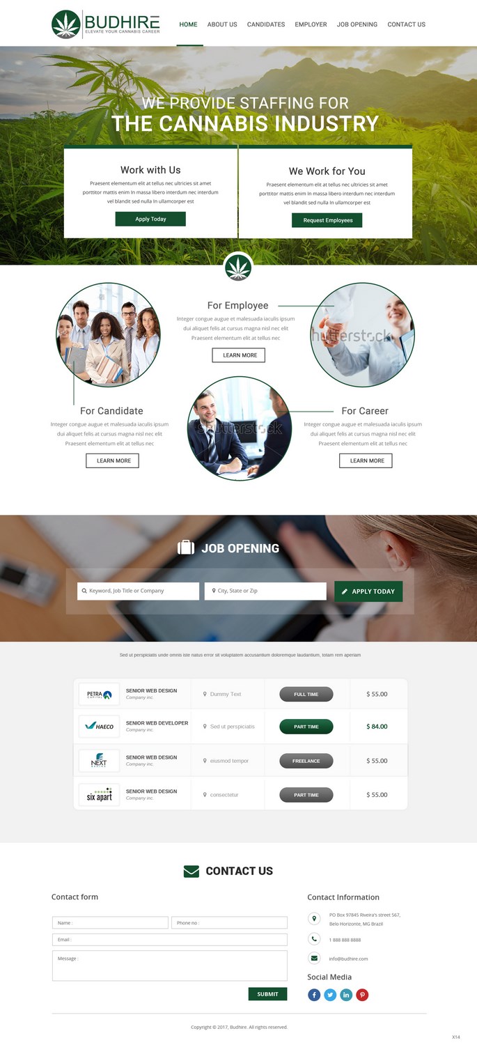Diseño Web por pb para este proyecto | Diseño: #16461622