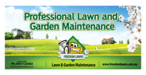 Flyer Design by Asmi for Freedom Lawns | Design: #16286720