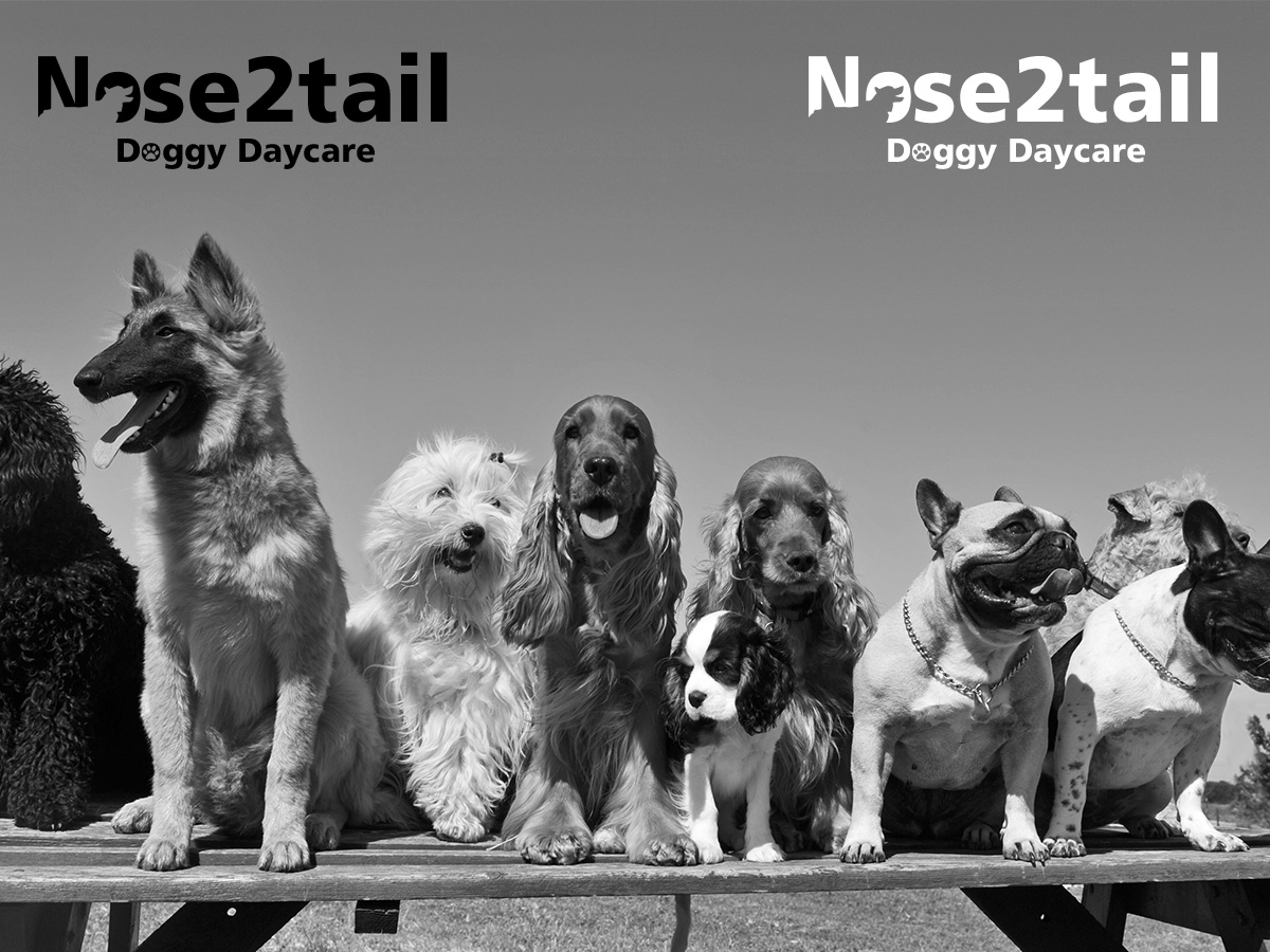 Logo Design by One Pen Design for Nose2tail | Design #2656716