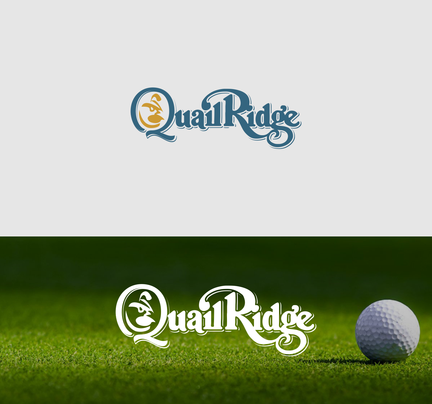 Logo Design by eudo for this project | Design #16364133