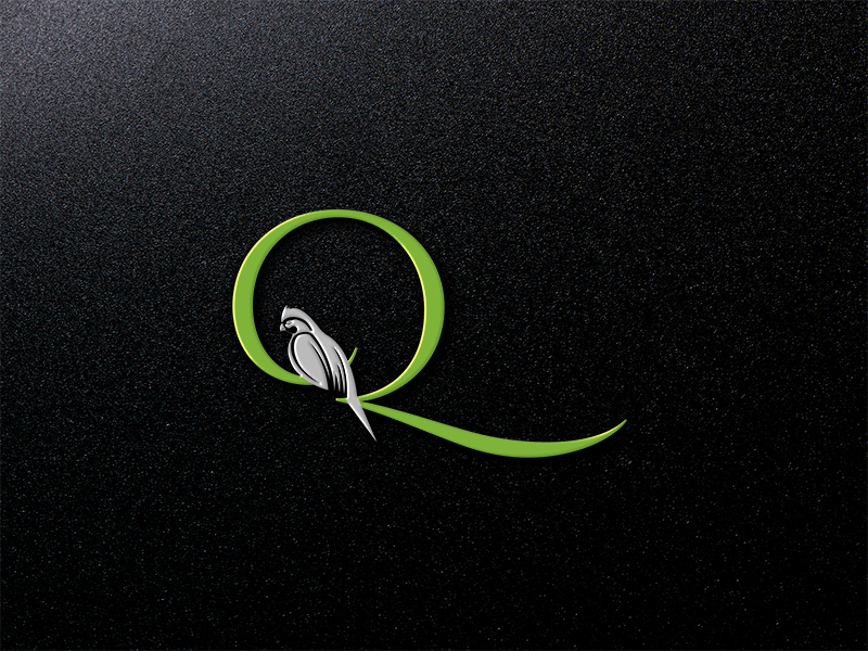 Diseño de Logo por EGYPT KING para este proyecto | Diseño #16432206