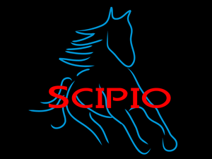 Logo Design by musebaby for Scipio Enterprises | Design: #605329