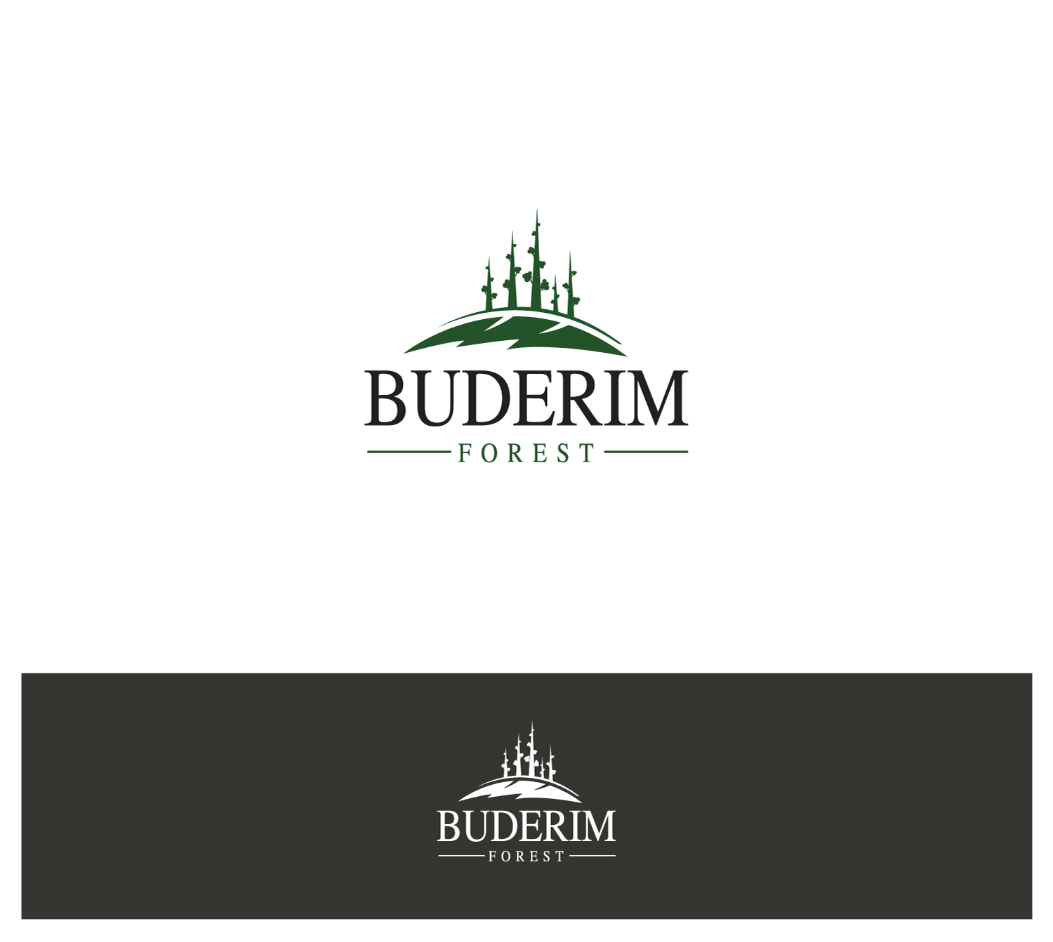 Logo Design by anonrotide for Vantage Homes | Design #16664460