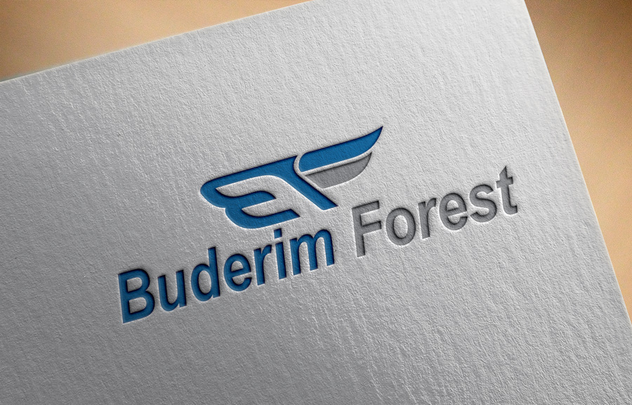 Logo-Design von imshohaghossain85 für Vantage Homes | Design #16516046