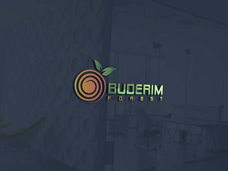 Logo Design by esolztech for Vantage Homes | Design #16607303