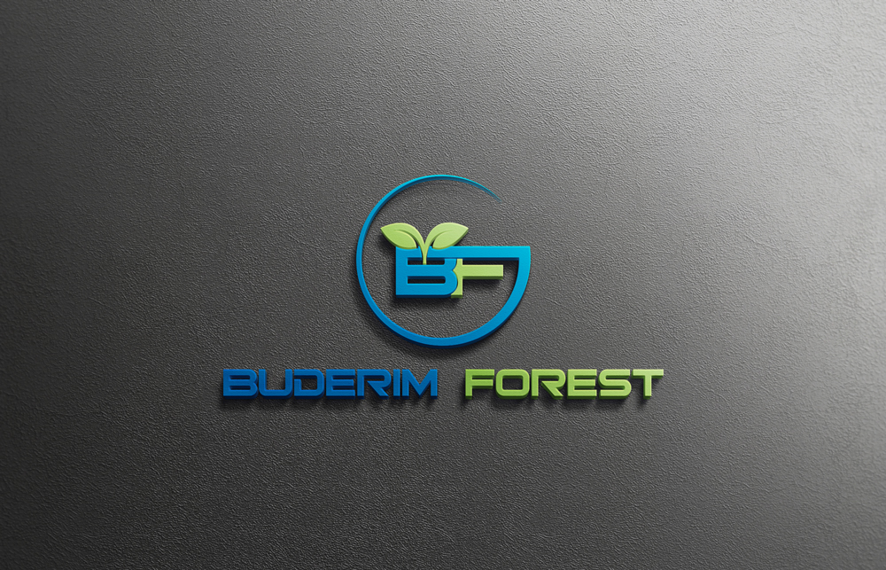 Logo Design by imsakiballhasan for Vantage Homes | Design #16513959