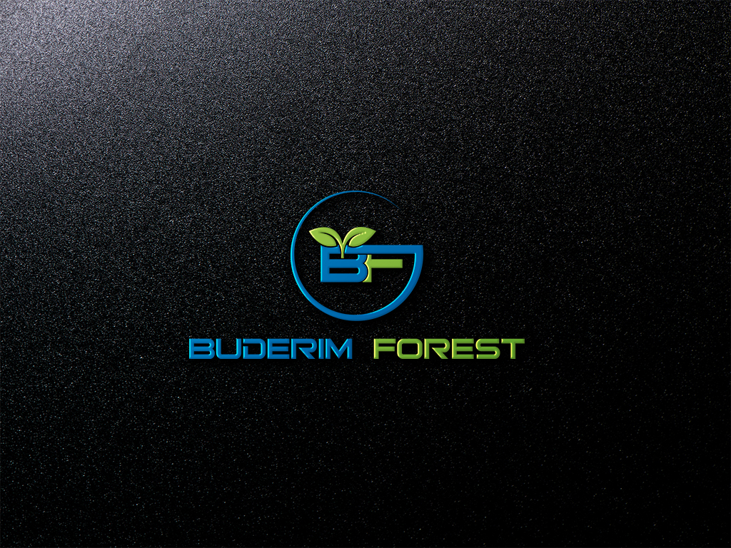 Logo Design by imsakiballhasan for Vantage Homes | Design #16513961