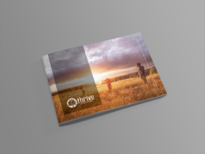 Service Offering | Broschüren-Design von banedsgn